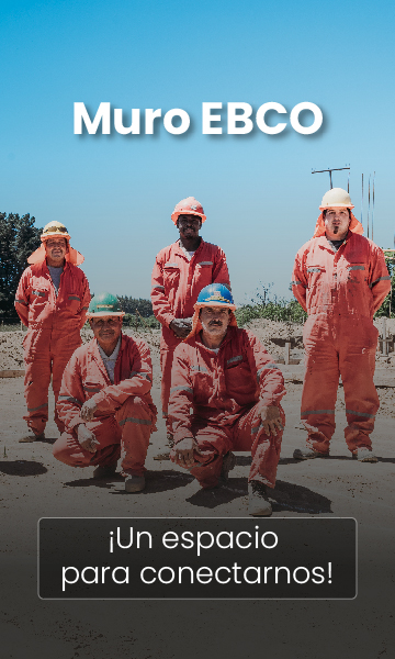 a_MURO EBCO VERTICAL